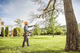 Why Choose Our Tree Removal Services in Ewa Villages, HI?